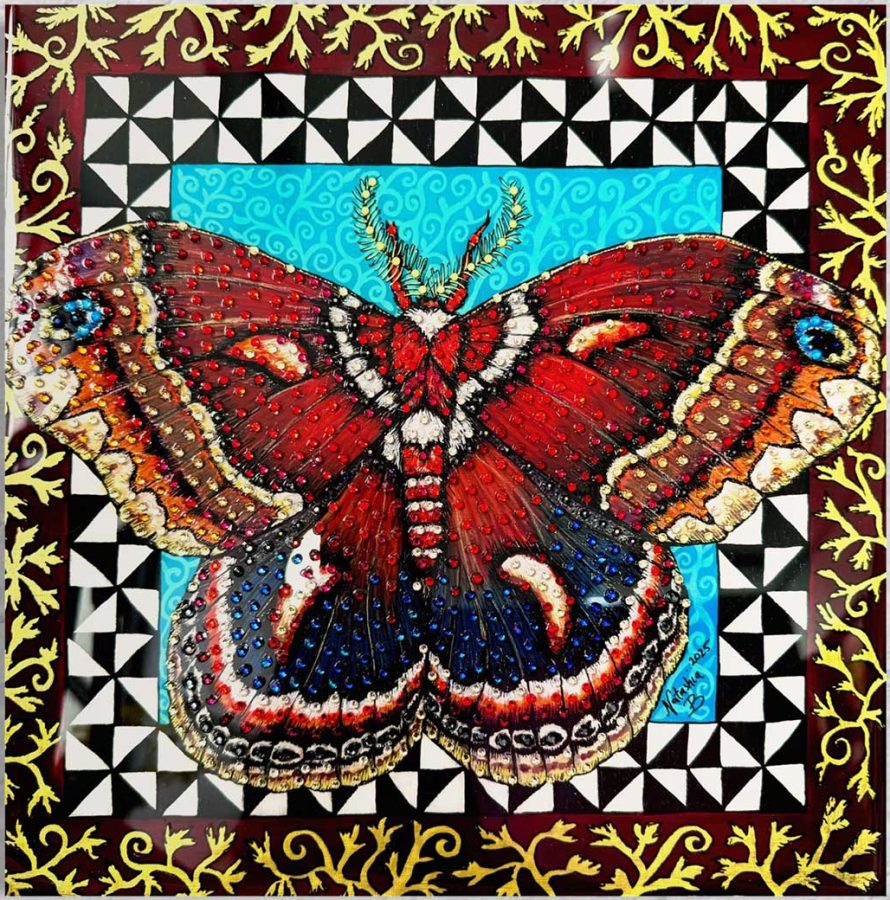 Intuitive Discovery – Cecropia Moth